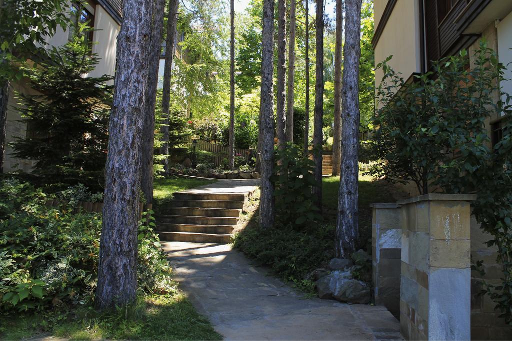 Apartments Dreambg Sozopol Bilik gambar